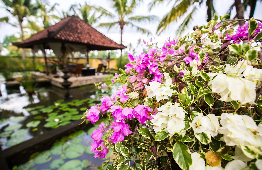 Vision Villa Resort-1