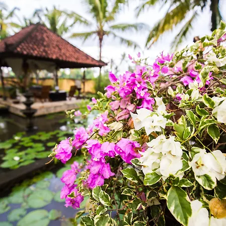 Vision Villa Resort-2